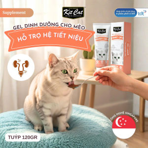 (Tuýp 120g) Gel Kitcat Thức ăn chức năng cho mèo