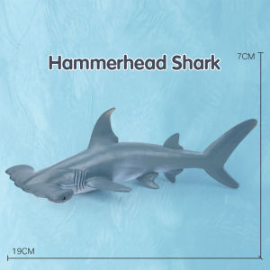 Simulation Marine Sea Life Whale Figurines Shark Cachalot Action Figures Ocean Animal Model Dolphin Hammerhead Educational Toys Marine-Life-Model
