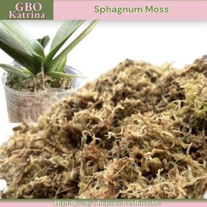 GBO Katrina: Sphagnum Moss | Compressed | approx 6L