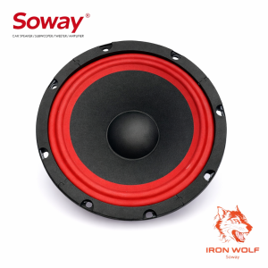 1 CỦ LOA BASS 20 SOWAY GÂN VẢI TỪ 100mm COIL 35MM
