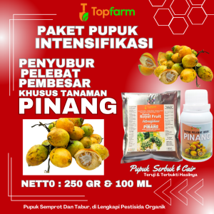 Pupuk Khusus Pelebat Buah Pinang / Pupuk Pinang Terbagus / Obat Pohon Pinang Agar Berbuah / Pupuk Untuk Pohon Pinang