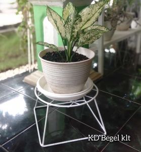 STANDING POT PRIMA TATAKAN / Rak bunga besi murah bisa COD