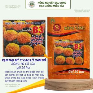 (Gói 20 hạt) Hạt Giống Hoa Vạn Thọ Mỹ SUPER B3 - Cao Lỡ cam đỏ - RỒNG VÀNG