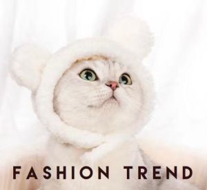 Cute Pet Headdress Halloween Cat And Dog Hat Headdress Dress Up