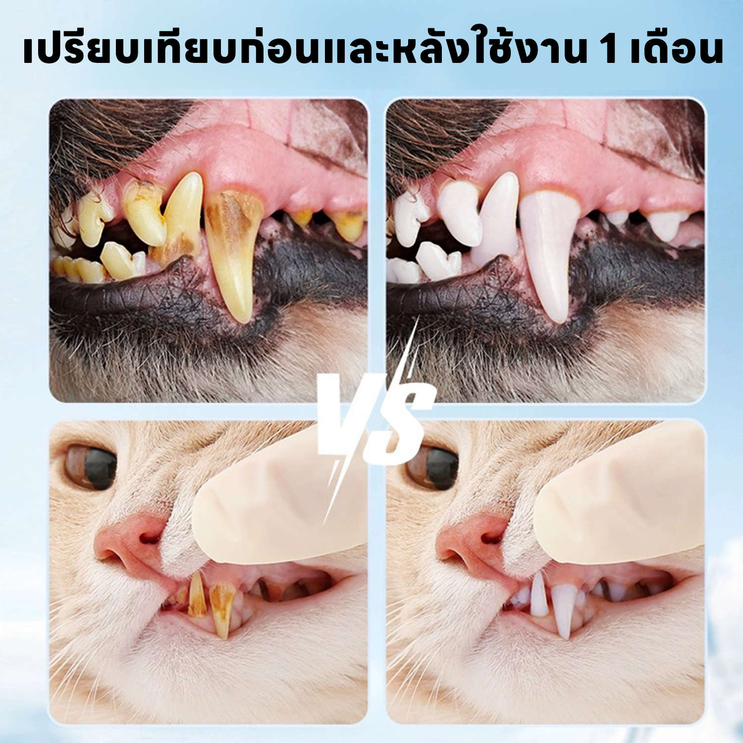 แปรงสีฟัน yoyo Pet ผ้าเช็ดฟันแมว ฟันหมา 50 ชิ้น ลดคราบหินปูน แมว ขจัดกลิ่นปากในแมว ถุงนิ้ว ทำความสะอาดฟัน