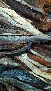 ปลาโอ ปลาโอตากแห้ง 1กิโลกรัม ไม่เค็ม เนื้อแน่นๆ มีราคาส่งมีเก็บปลายทาง