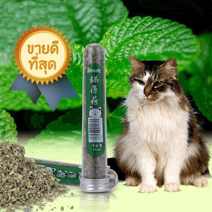แคทนิปออร์แกนิกบรรจุหลอด ผสมมาทาทาบิ