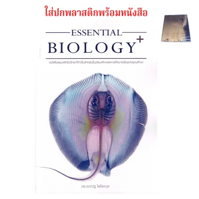 ชีวะปลาหมึก ชีวะปู ชีวะกระเบน ชีวะนก ชีวะแมงกระพรุน ชีวะกระเบน ชีวะเต่า A-level Biology Mock Up Exam