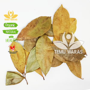 Daun sirsak Kering 100gr Asli Hutan