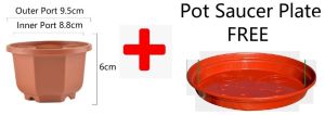 JCLSGP Octagonal Succulent Pot Plant Pot Flower Pot FREE Saucer Plate