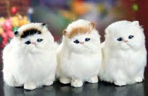 Mylilangelz Plush Simulation Cat Electronic Pet Doll Imitation Animal with Meow Sound Children Cute Toys