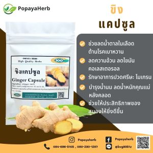 ขิงผง 100 แคปซูล สมุนไพรผง100%