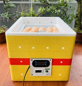 Máy ấp trứng 35 trứng dùng dây CACBON