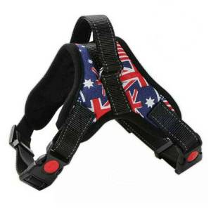 (💥มีคูปองส่งฟรี) สายรัดอกสุนัข สายรัดอกหมา สายรัดอกสัตว์เลี้ยง สายรัดอก มีSafety lock (ไซส์ XS-XL) V2