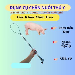 Gậy Bắt Heo Khoá Mõm Heo Chó Bằng Inox