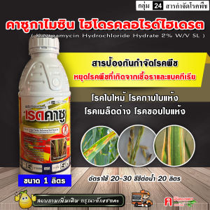 เรดคาซู / คาซูกาไมซิน (1 ลิตร) คาซูก้ามัยซิน คาซูกามัยซิน ไฮโดรคลอไรด์ ไฮเดรต ป้องกันกำจัดโรคพืช โรคใบไหม้ ขอบใบแห้ง //คาซูมินแอล