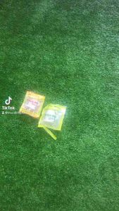 Phích cắm âm chuôi phích nối điện