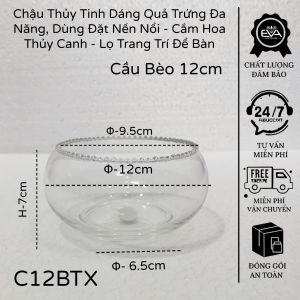 Bình Thủy Tinh Miệng Bèo Trang Trí Đa Năng / Bể Cá Betta - Cá Cảnh Mini Tròn - Lọ Căm Hoa Thủy Sinh Bầu Bèo D20cm