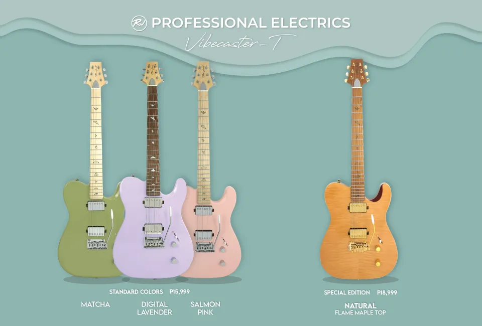 RJ Professional Electrics Vibecaster T (T-Style Body