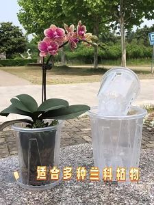 WH Gardening Flower Growth Cultivation Pot Transparent Visible Tulip Butterfly Orchid Root Control Cup Breathable Slotted Vegetable Fruit Seedling Planter