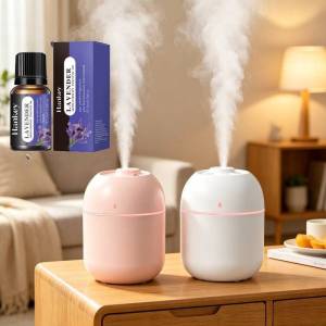 250ML Mini Portable Air Humidifier– USB Essential Oil Diffuser for Home Office and Bedroom
