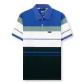 Áo thun POLO nam có cổ trung niên  CÓ TÚI vải cotton xịn loại áo thun nam form rộng rãi cho người lớn tuổi có túi- HÀNG ĐẸP XUẤT SẮC. 