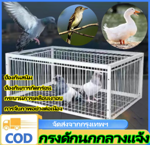 VSSUU เพนียดดักนก กรงดักนก กรงกับดักนกพิราบ กรกดักนกเขา กรงนกพิราบ กรงต่อนก