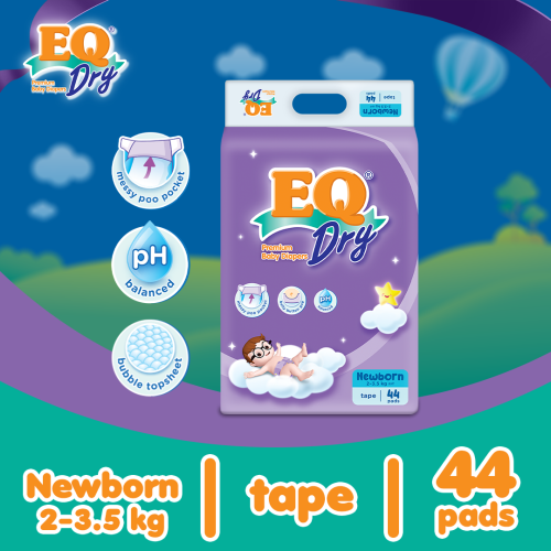 EQ vs Pampers vs Huggies: How to Choose the Right Newborn Diaper in the Philippines