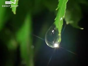 Sweet Night Perfume Limited Edition 50ml for men