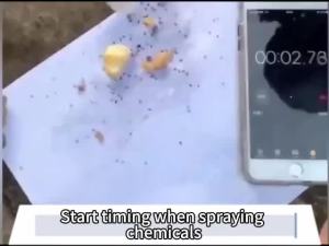 ✨Home Ant Killer✨ant killer spray500ml - Colorless and Odorless Imported from Germany