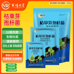 2025 Bacillus subtilis   Anti-Continuous Cropping Rooting Strong Seedling Swelling Fruit Prevention Soil-Borne Disease Water Soluble Fertilizer Other