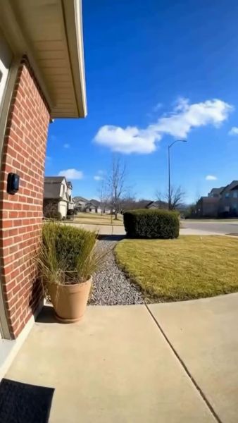 Buyer review video 6
