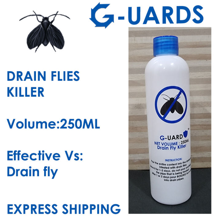 Drain flies/ drain fly killer GUARDS | Lazada Singapore