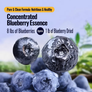Sugar-Free Dried Blueberries Original Flavor Healthy Snack Natural Sweet & Sour Taste