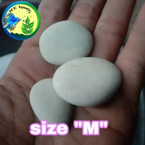 BATU PUTIH KUPANG 1 KARUNG BERAT 10 KG DEKORASI AQUARIUM DAN TAMAN