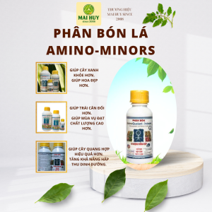 PHÂN BÓN LÁ VI LƯỢNG AMINO MINORS VI LƯỢNG TỔNG HỢP CHAI 100ML - 1 LÍT - MAI HUY SINCE 2008
