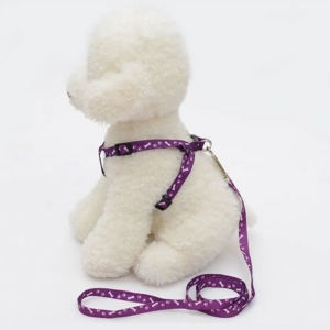 Pet leash Adjustable Nylon dog Leash cat