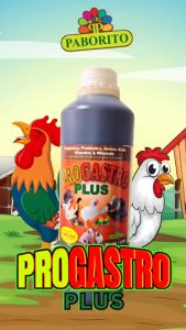 ProGastro Plus | Poultry & Swine Probiotics | Layers Broilers & Other Farm Animals | 1L