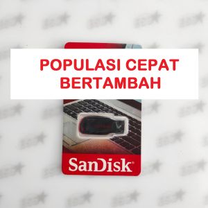 Suara Panggil Walet Populasi Cepat Bertambah - Lagu Walet Super Unik