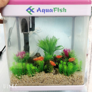 Bộ Bể Cá Bằng Kính Đúc MJ 260 Kích Thước 26*17*29cm (đã bao gồm đèn và bộ lọc)