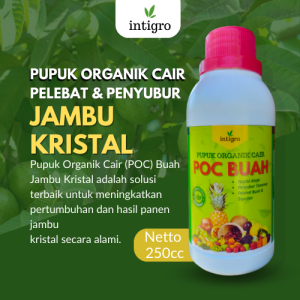Pupuk Penyubur Buah Jambu Kristal Obat Booster Penguat Pelebat Buah Jambu Kristal Anti Rontok Cair