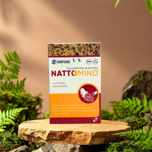 (60 viên) Viên uống hoạt huyết dưỡng não NATTOMIND bổ sung ginko biloba nattokinase vitamin B6 bổ não chống đột quỵ