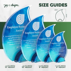 Jay C. Designs Acrylic Plaque Trophy Aurora Award Customized Personalized For Awarding 8052