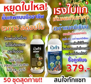 เวก้าหยุดใบไหล+เวก้าแมกนีเซียม ลดการหลุดร่วงของดอกและผล รักษาดอกและผล ช่วยขยายผล ขนาด 1 ลิตร