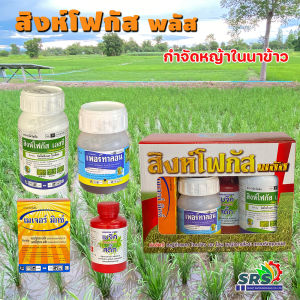 สิงห์โฟกัส กำจัดหญ้าในนาข้าว กำจัดวัชพืช ใบแหลมและใบกว้างในนาข้าว บิสไพริแบก-โซเดียม+ ไตรโคลเพอร์ บิวทอกซี่เอทิล เอสเทอร์+คลอริมูรอน-เอทิล+เมทซันฟูรอน-เมทิล