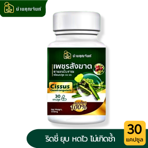 3กระปุก บ้านคุณจันทร์ สมุนไพรริดสีดวง บ้านคุณจันท์ เพชรสังฆาต 30แคปซูล