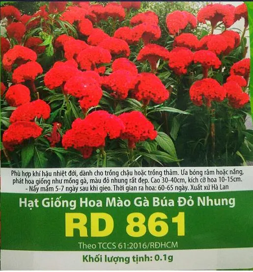 %5BHCM%5DH%E1%BA%A0T%20GI%E1%BB%90NG%20H%C3%80%20LAN%20_%20HOA%20M%C3%80O%20G%C3%80%20B%C3%9AA%20%C4%90%E1%BB%8E%20NHUNG%20RD861%20-%20G%C3%93I%200.1G%20.%20-%20Image%204