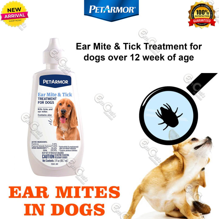 Flea and ear mite treatment for dogs best sale