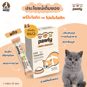 ผงโรยอาหารเเมว Pawly Pro Plus ผงพรีไบโอติกและโปรไบโอติก สำหรับเเมว เสริมภูมิคุ้มกัน ปรับสมดุลทางเดินอาหาร ลดกลิ่นมูล (1 กล่อง) มี 12 ซอง