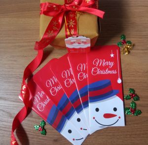 Amplop Natal Ukuran Besar / Amplop Natal Ecer / Angpao Natal / Amplop Uang Motif Natal Unik